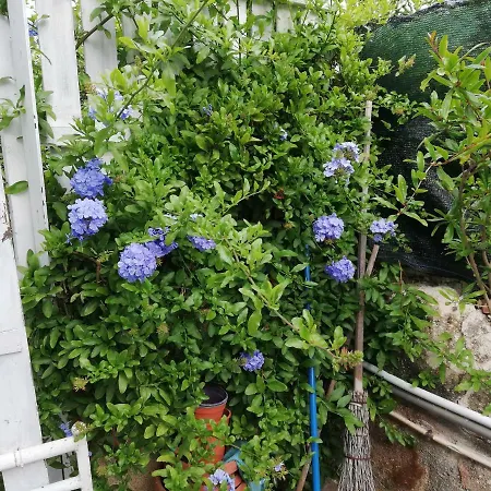 Vakantiehuis Casa Deli - Le Farfalle Blu *