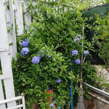 Vakantiehuis Casa Deli - Le Farfalle Blu Syracuse